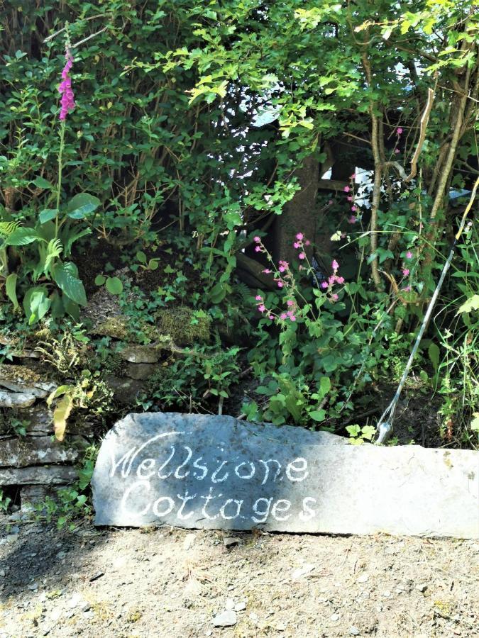 Wellstone Cottages - Coach House Llanfyrnach Exterior foto